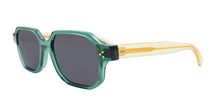 Load image into Gallery viewer, San Francisco - Francois Pinton Sunglasses