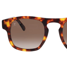 Load image into Gallery viewer, Dundee Zm François Pinton - Sunglasses - cavaaller-Itwillbefine