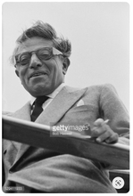 Load image into Gallery viewer, Onassis in Onasis frame