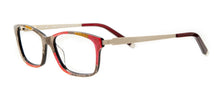 Charger l'image dans la galerie, Sunray SK8 - David Green Eyeglasses image 1
