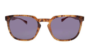 Haussman Sunglasses - Francois Pinton