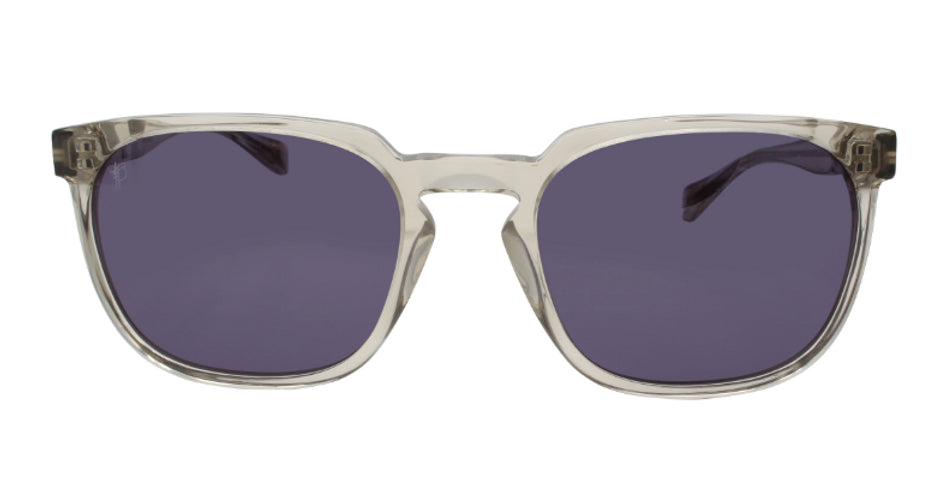 Haussman Sunglasses - Francois Pinton