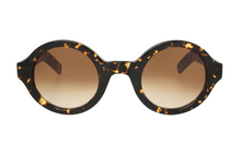 Lade das Bild in den Galerie-Viewer, Achard P917 - Francois Pinton Sunglasses image 0
