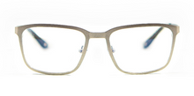 Lade das Bild in den Galerie-Viewer, Alps AF2 Silver Stainless Steel Rectangular Eyeglasses | David Green front
