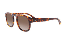 Charger l'image dans la galerie, Dundee 3 Zm -Francois Pinton Sunglasses image 1
