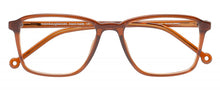 Indlæs billede til gallerivisning Monkeyglasses acetate brown 
