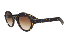 Lade das Bild in den Galerie-Viewer, Achard P917 - Francois Pinton Sunglasses image 1
