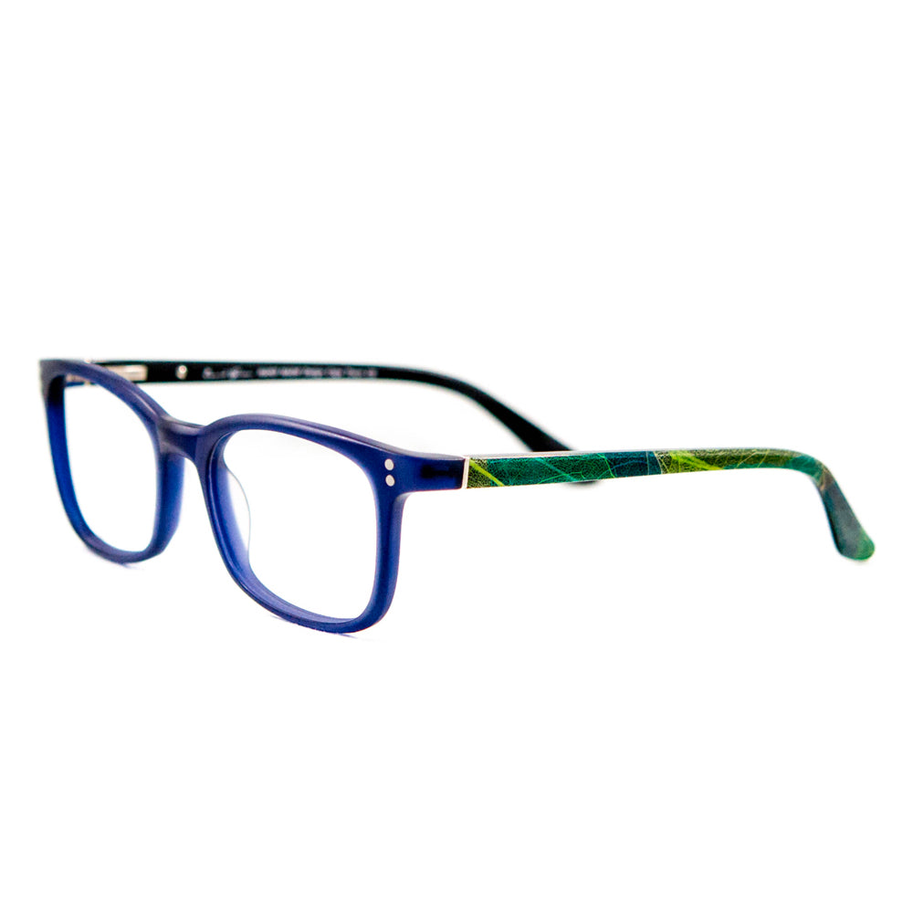 David Green Reef RI3(blue) - Eyeglasses in USA - cavaaller-Itwillbefine