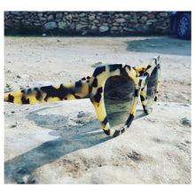 Load image into Gallery viewer, François Pinton FP Vogue SR77 - Sunglasses in USA - cavaaller-Itwillbefine
